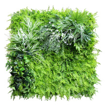 Sunwing cheap vertical green wall for office decoration